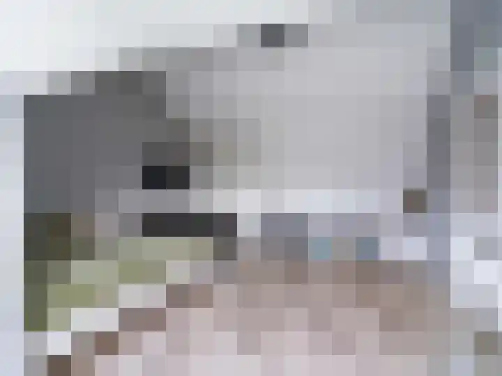 Meent 151 Breda thumbnail 25
