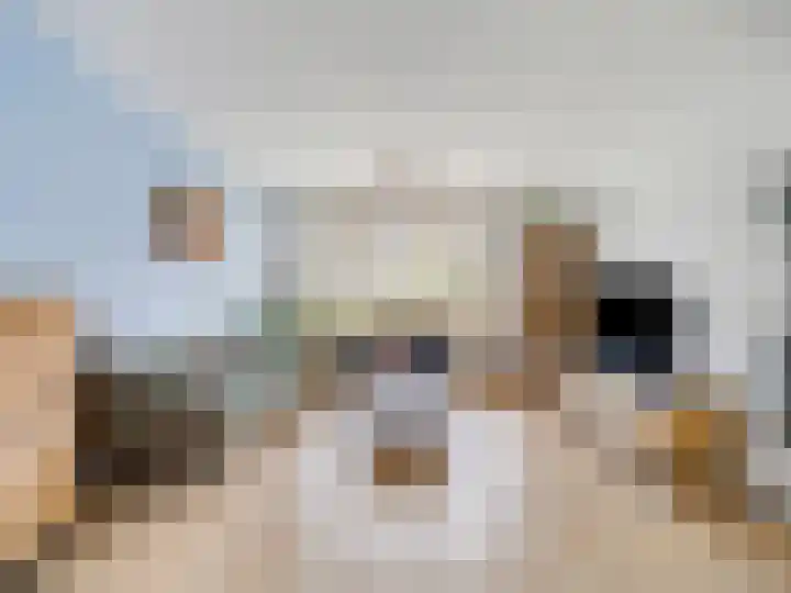Meent 151 Breda thumbnail 6