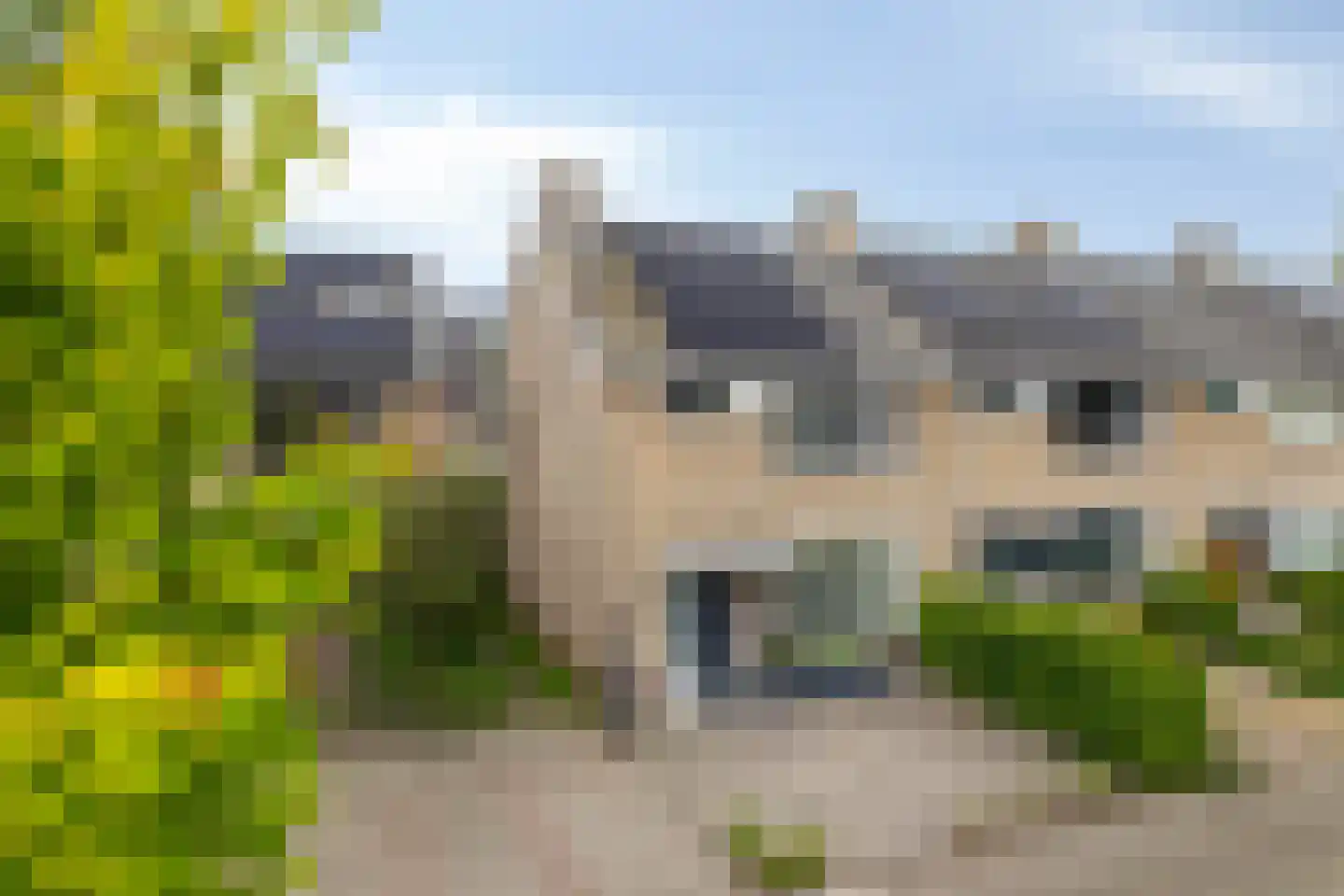 Meent 157 Breda thumbnail 44