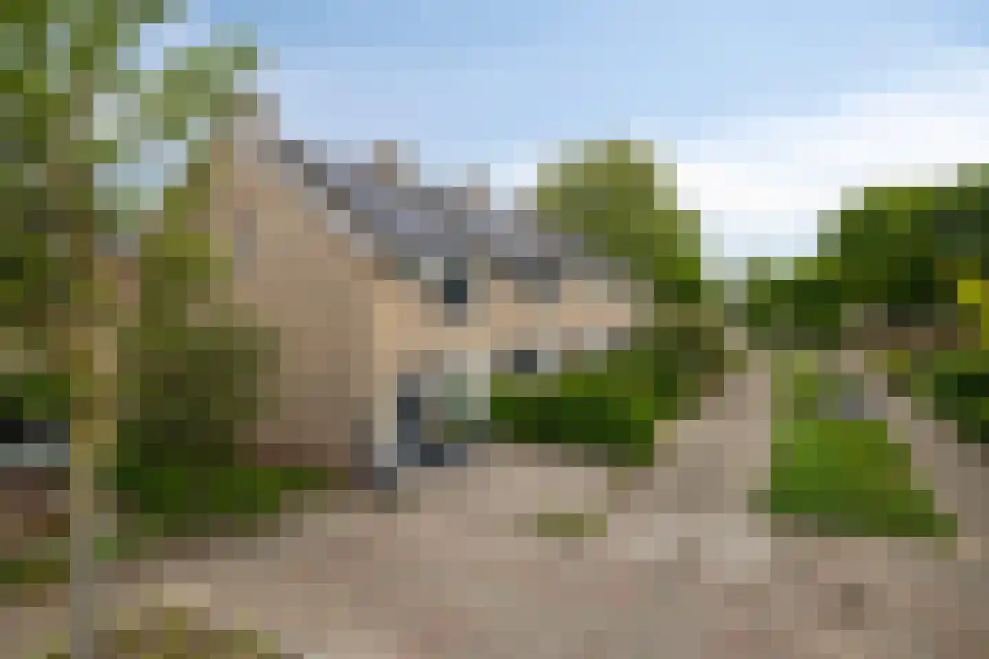 Meent 157 Breda thumbnail 46