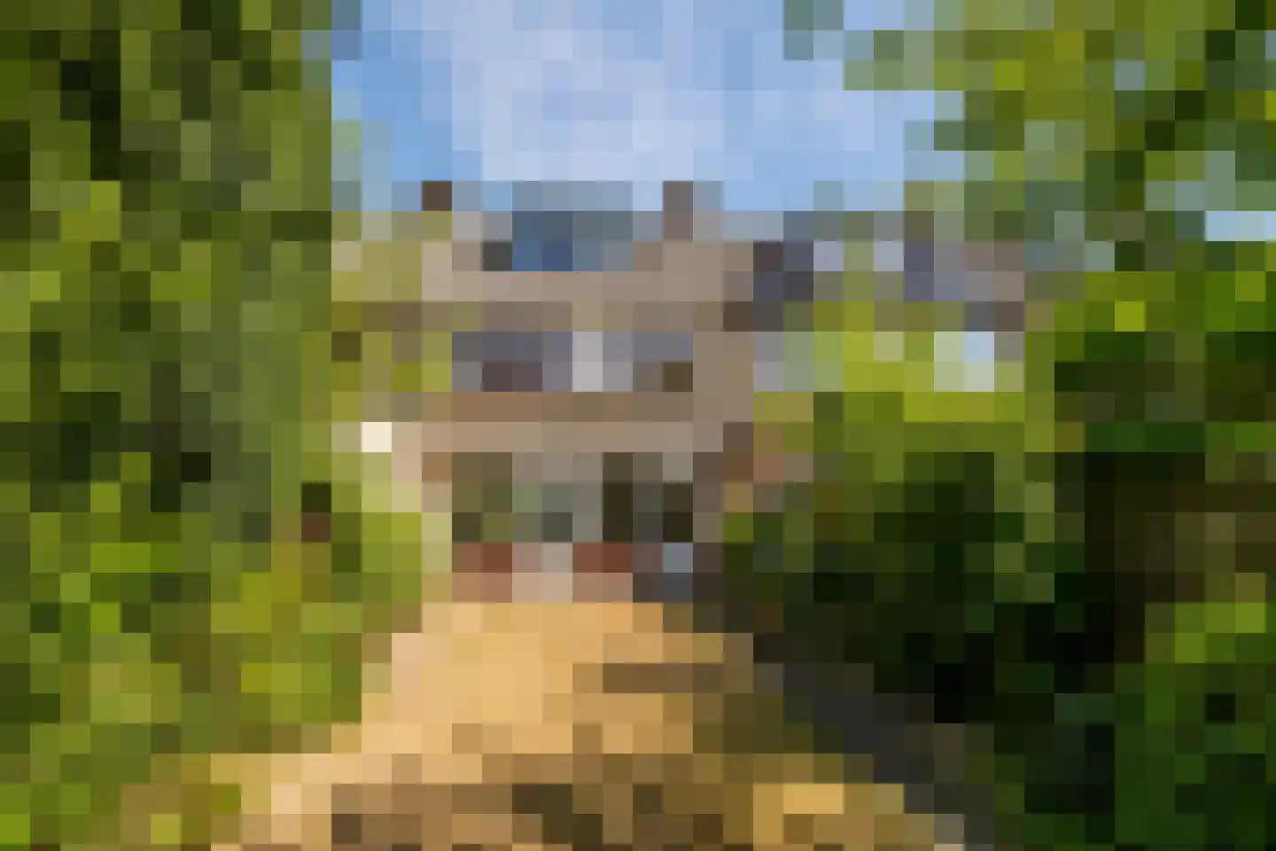 Meent 161 Breda thumbnail 26