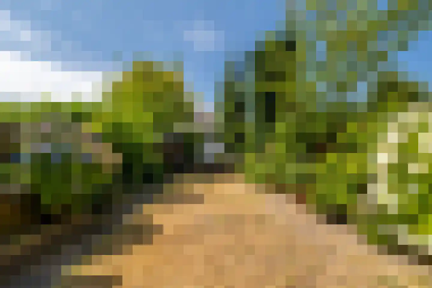Meent 161 Breda thumbnail 4