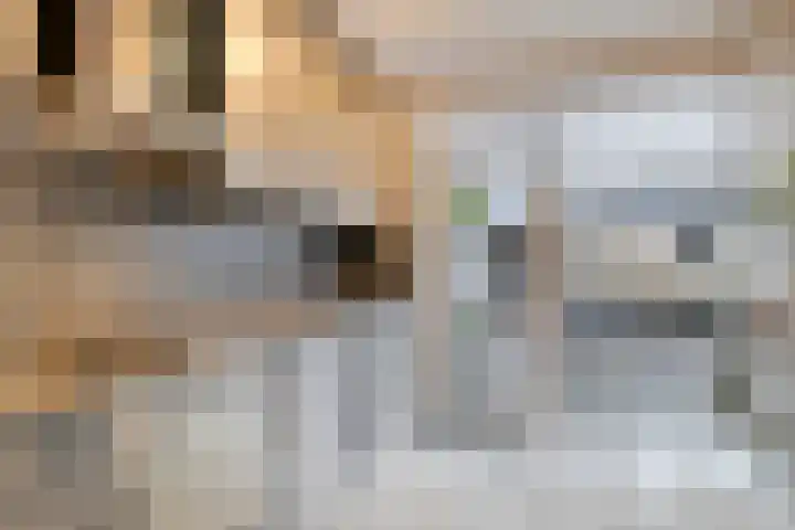 Meent 175 Breda thumbnail 11