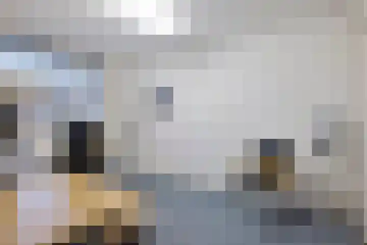 Meent 175 Breda thumbnail 16