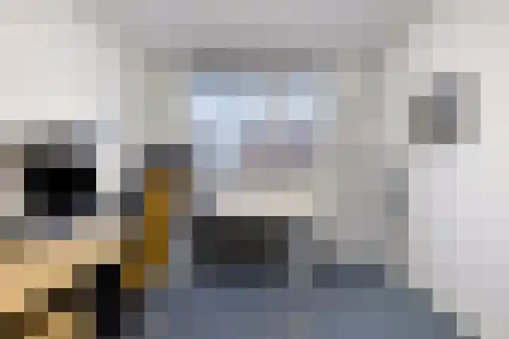 Meent 175 Breda thumbnail 17