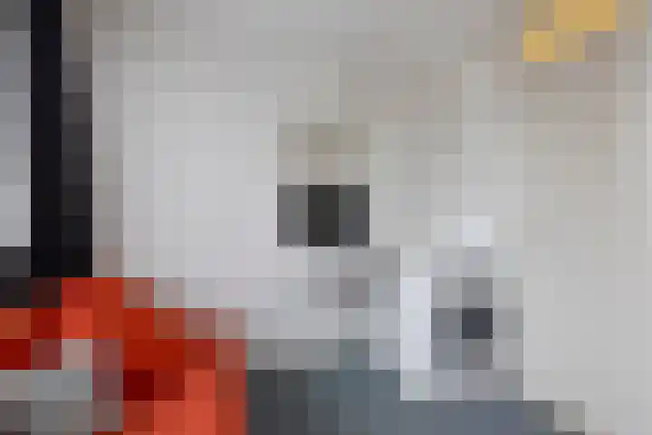 Meent 175 Breda thumbnail 20