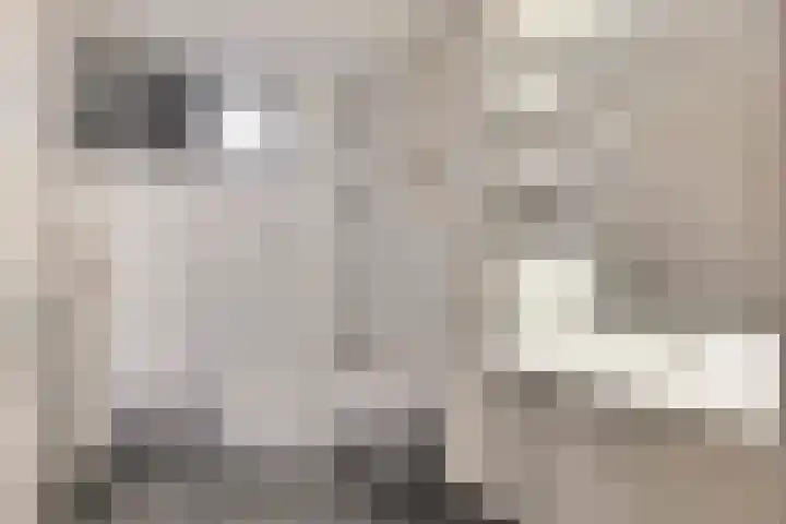 Meent 175 Breda thumbnail 21