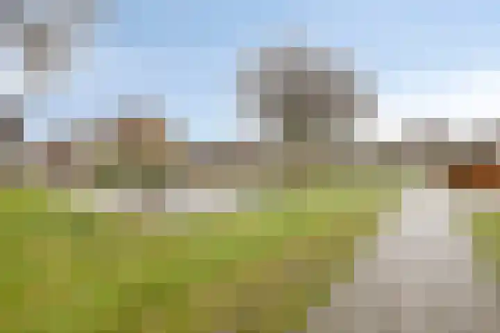 Meent 175 Breda thumbnail 33