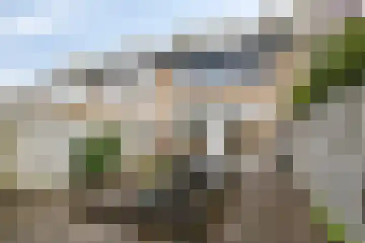 Meent 175 Breda thumbnail 4