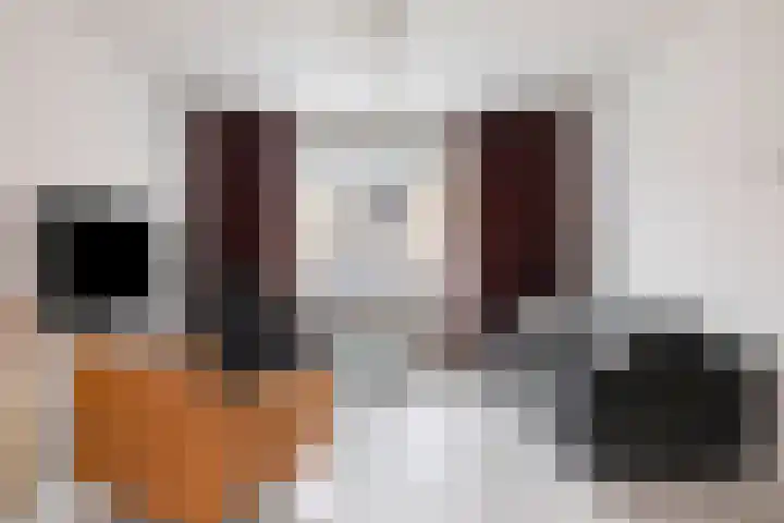 Meent 175 Breda thumbnail 8