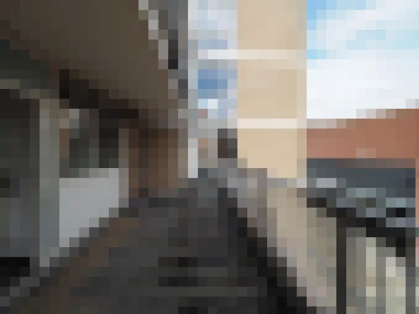 Meent 18 Papendrecht thumbnail 11