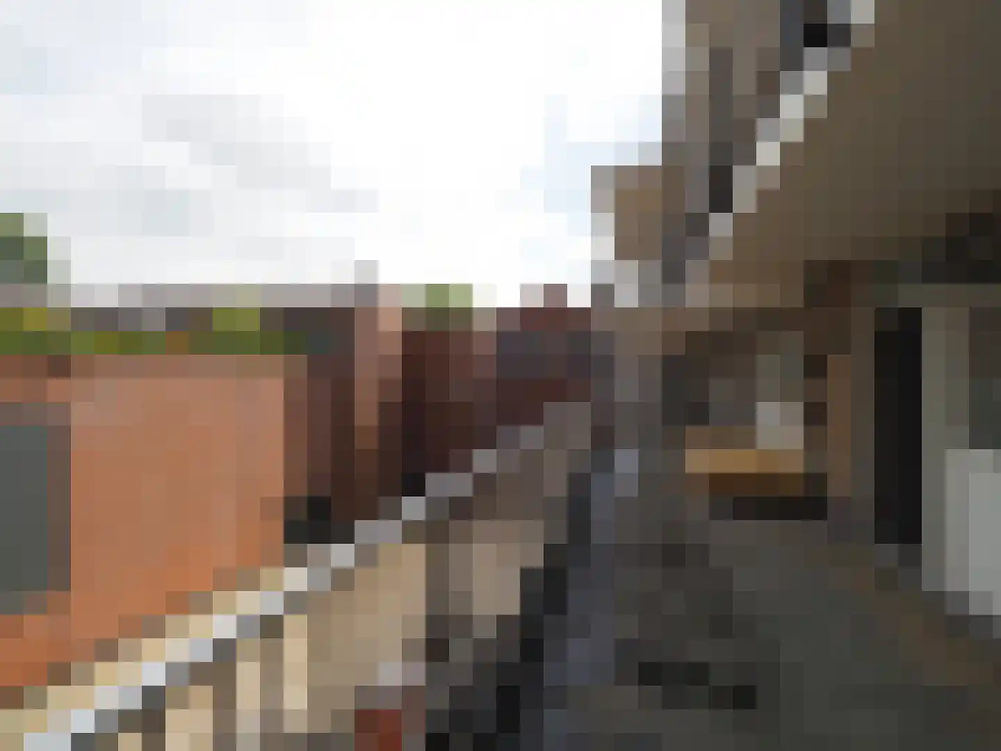 Meent 18 Papendrecht thumbnail 12