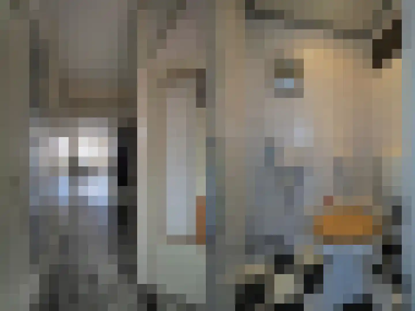 Meent 18 Papendrecht thumbnail 16
