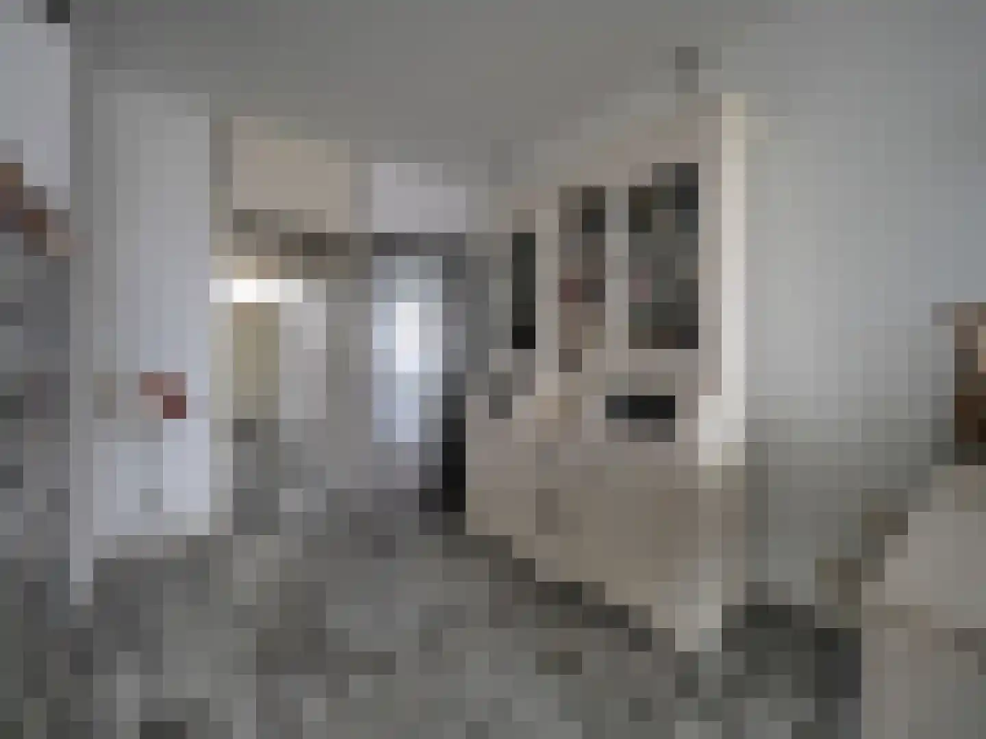 Meent 18 Papendrecht thumbnail 18