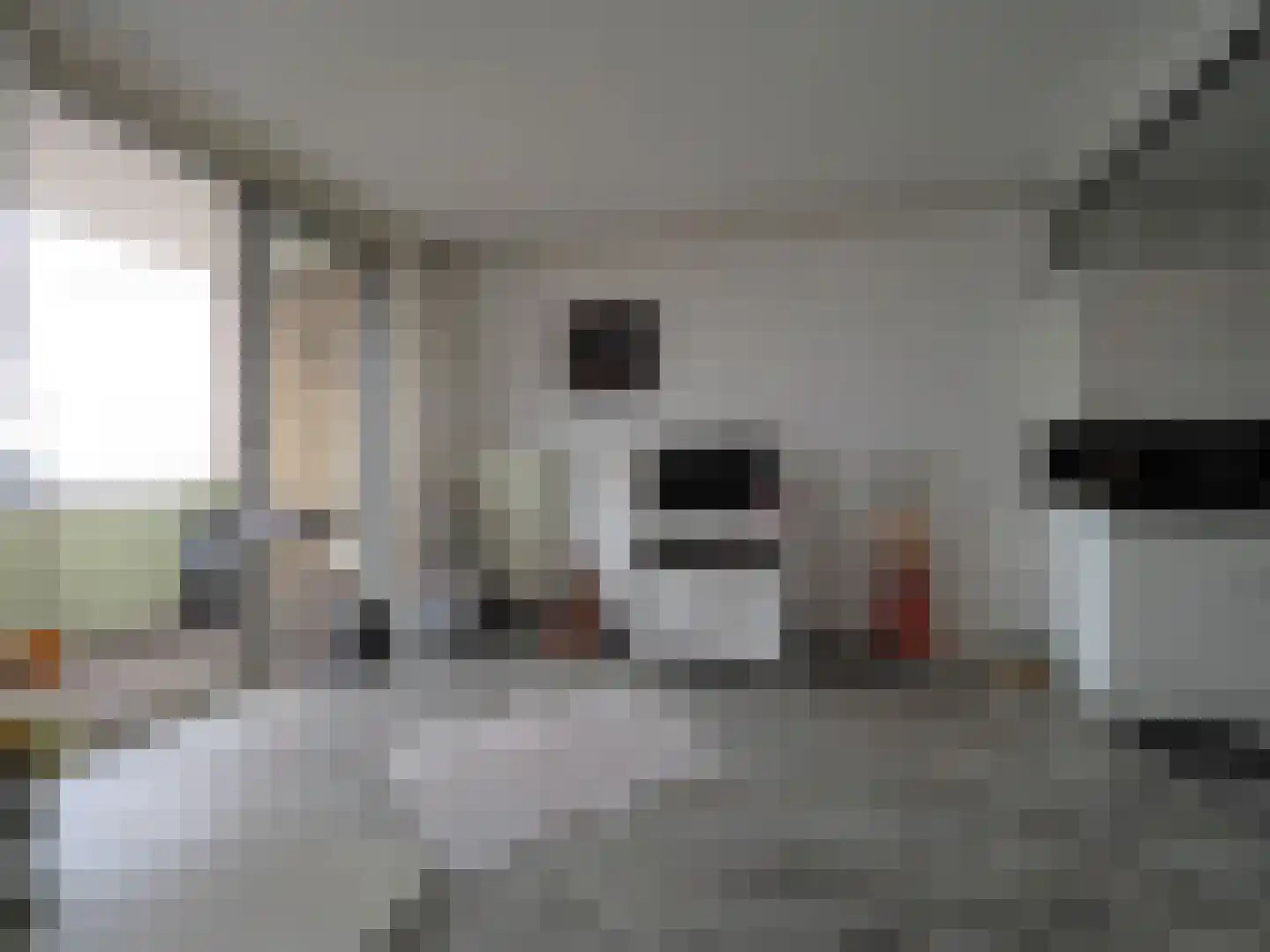 Meent 18 Papendrecht thumbnail 22