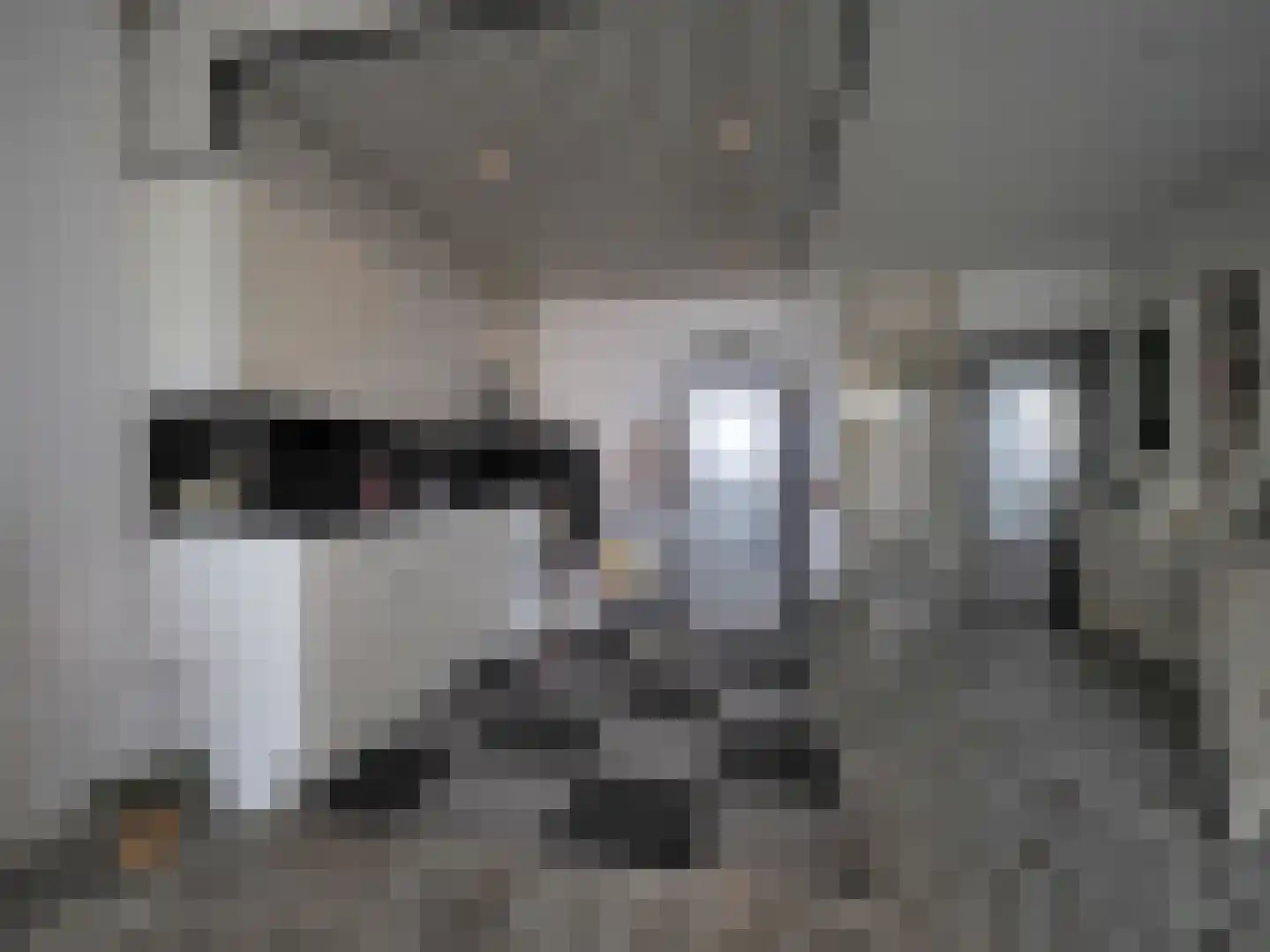 Meent 18 Papendrecht thumbnail 27