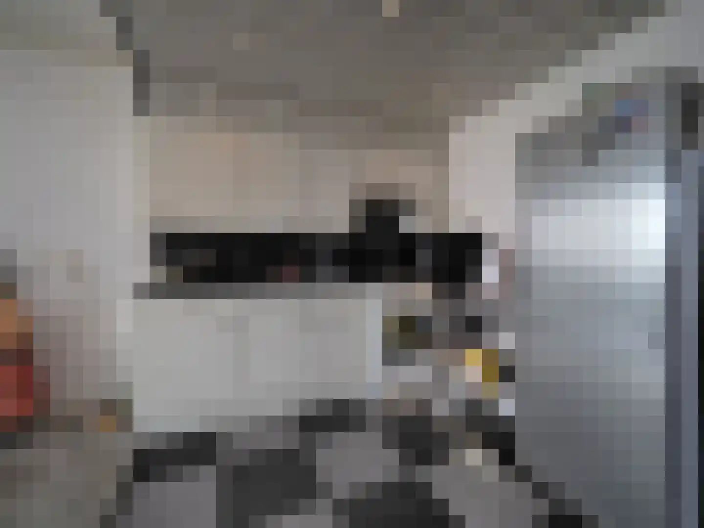 Meent 18 Papendrecht thumbnail 28
