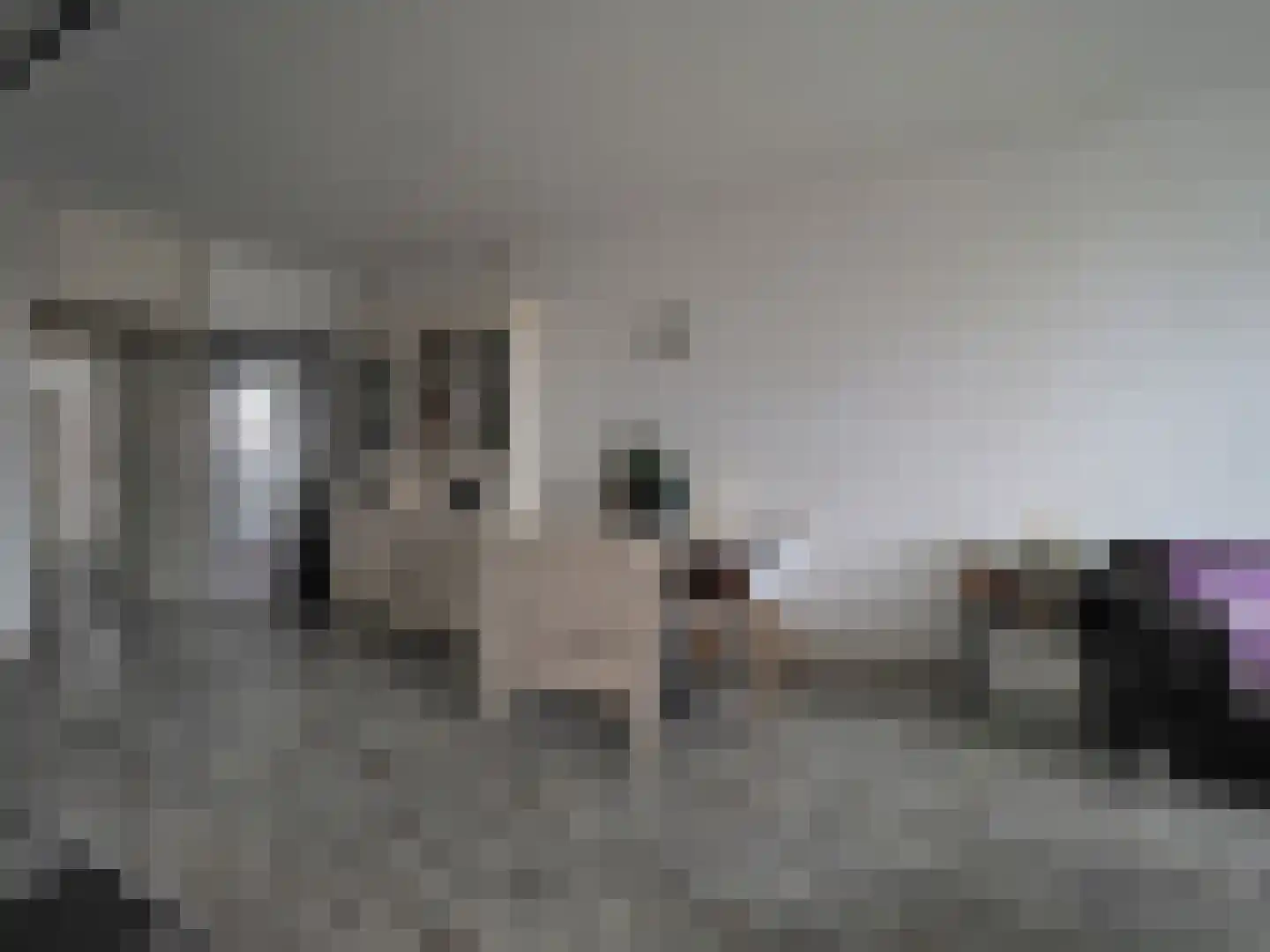 Meent 18 Papendrecht thumbnail 30