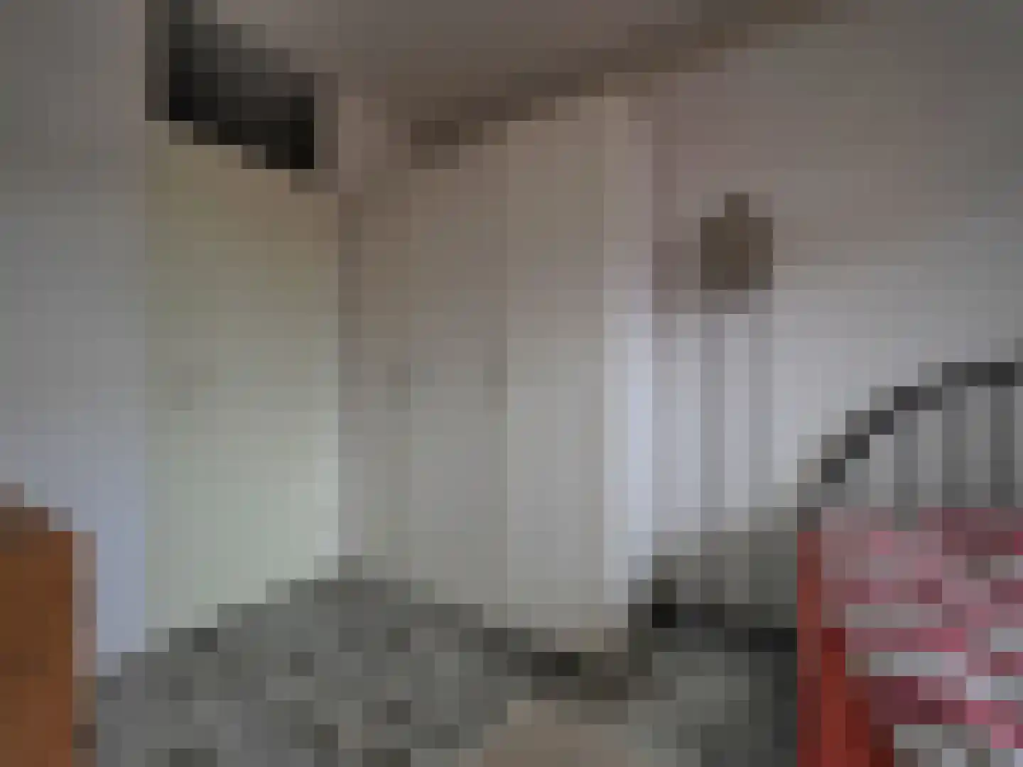 Meent 18 Papendrecht thumbnail 32