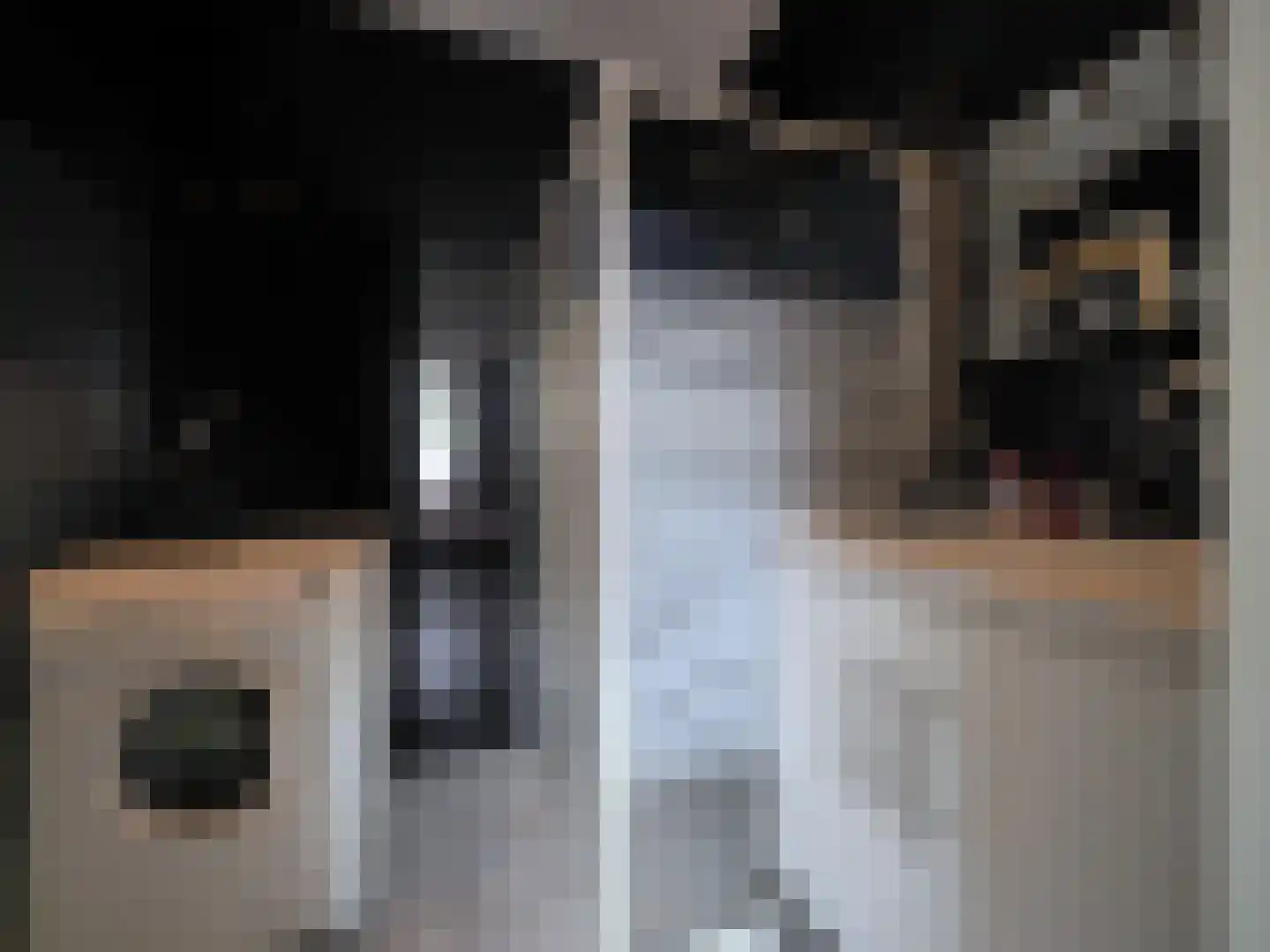 Meent 18 Papendrecht thumbnail 33