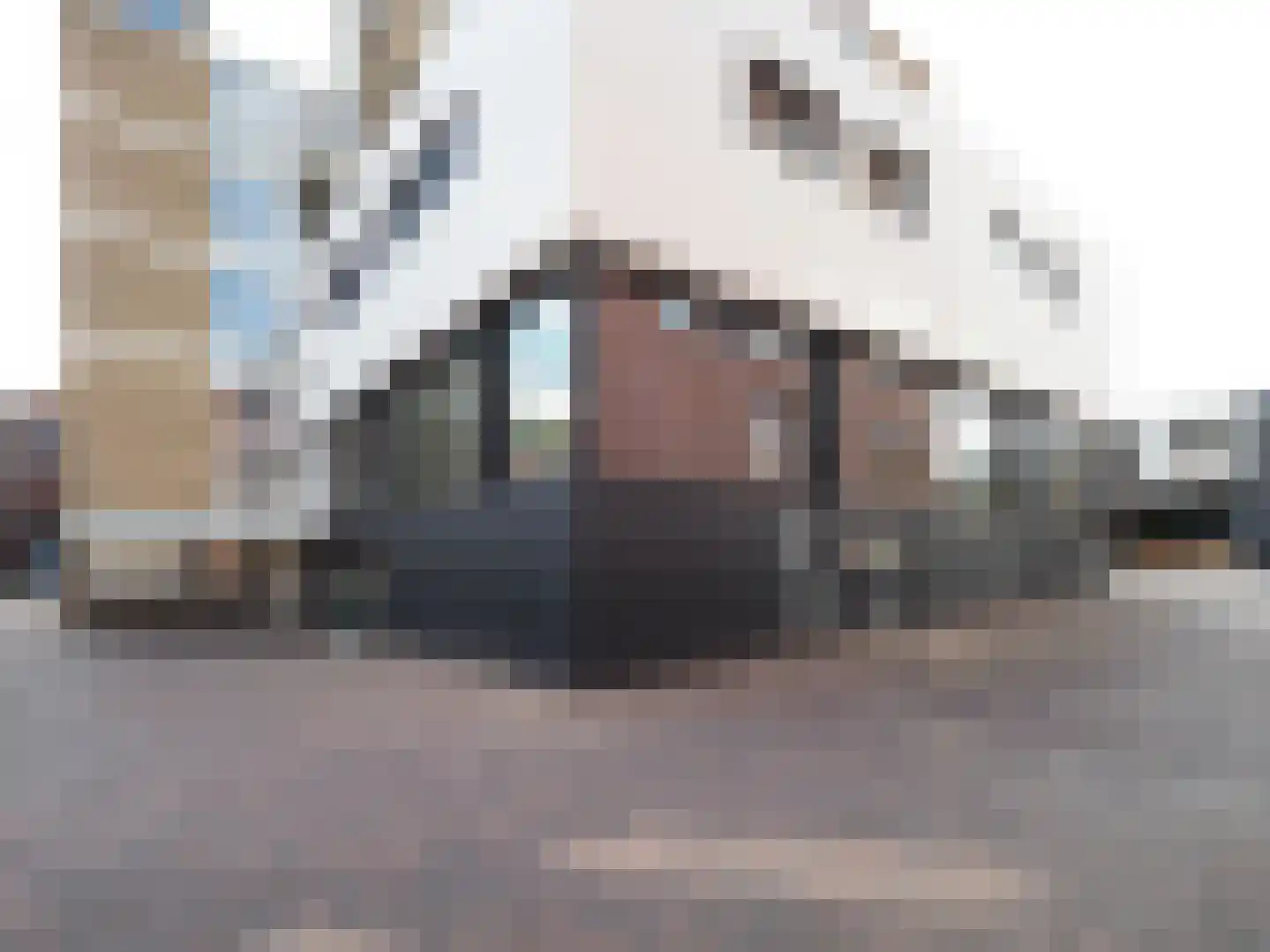 Meent 18 Papendrecht thumbnail 5