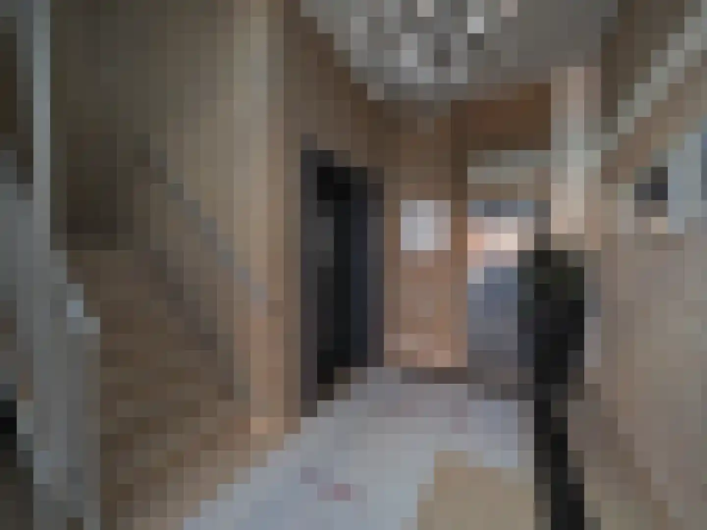 Meent 18 Papendrecht thumbnail 8