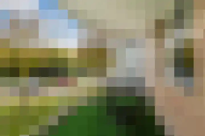 Meent 20 Zeist thumbnail 12