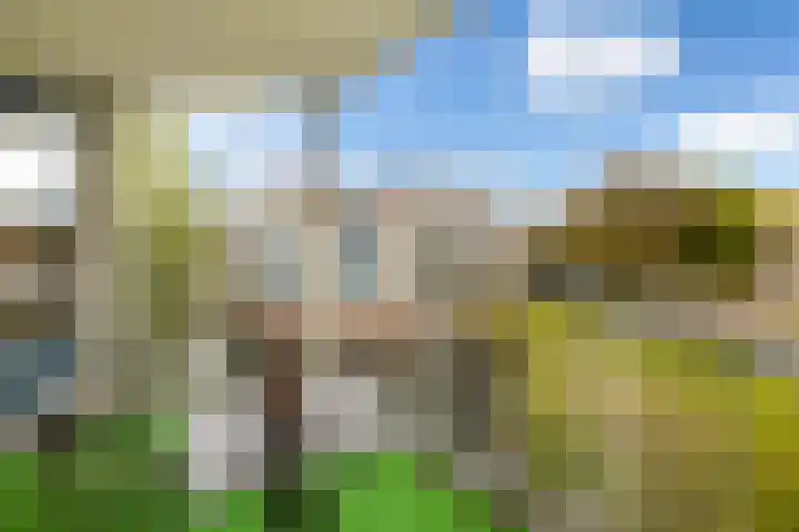 Meent 20 Zeist thumbnail 13