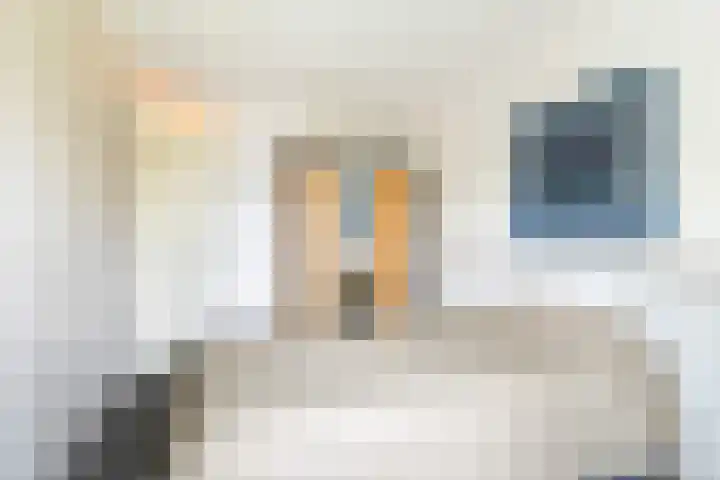 Meent 20 Zeist thumbnail 17