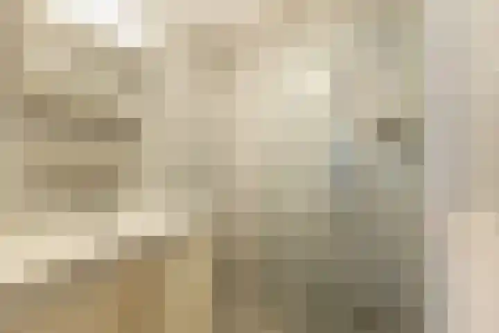 Meent 20 Zeist thumbnail 20