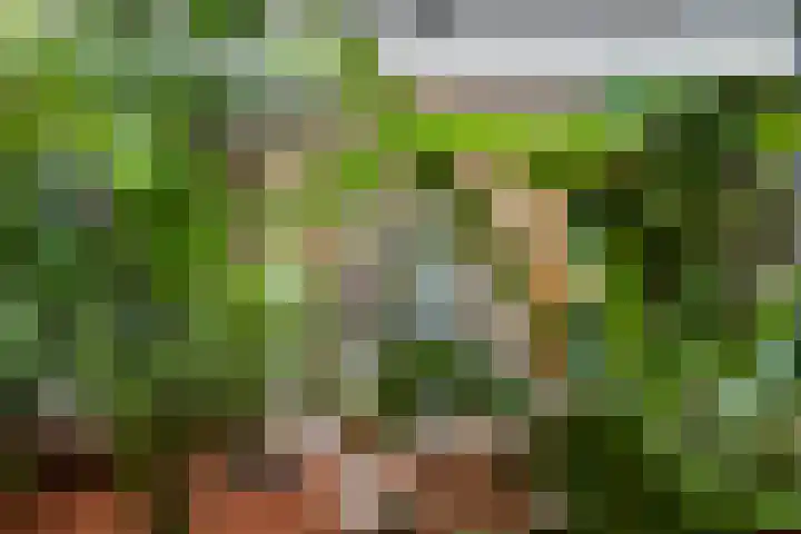Meent 20 Zeist thumbnail 24