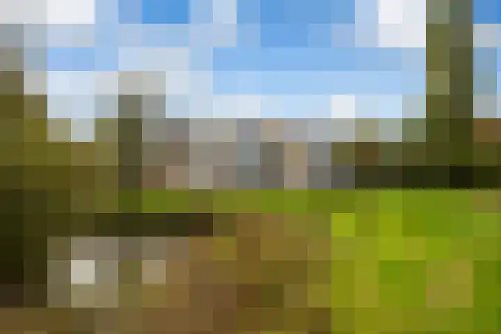 Meent 20 Zeist thumbnail 27