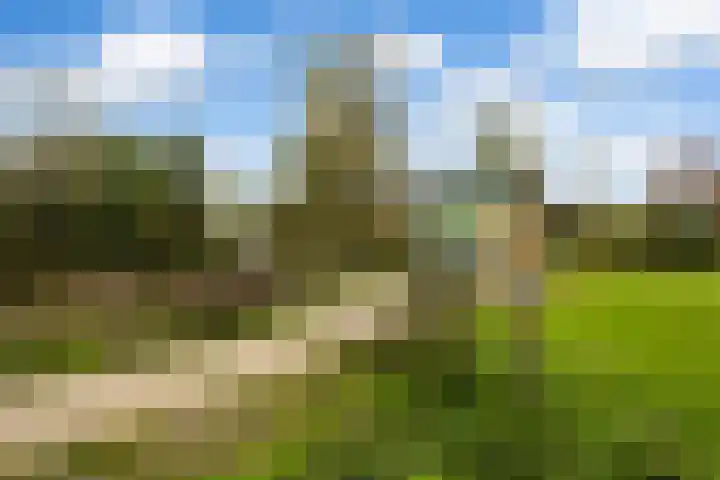 Meent 20 Zeist thumbnail 31