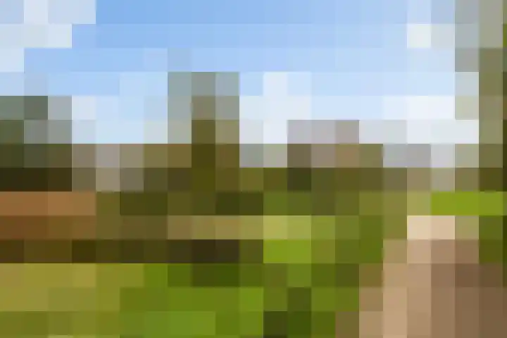 Meent 20 Zeist thumbnail 32