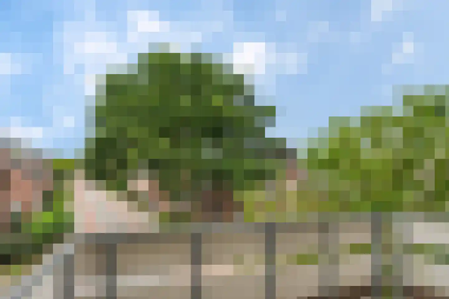 Meent 21 Horst thumbnail 11