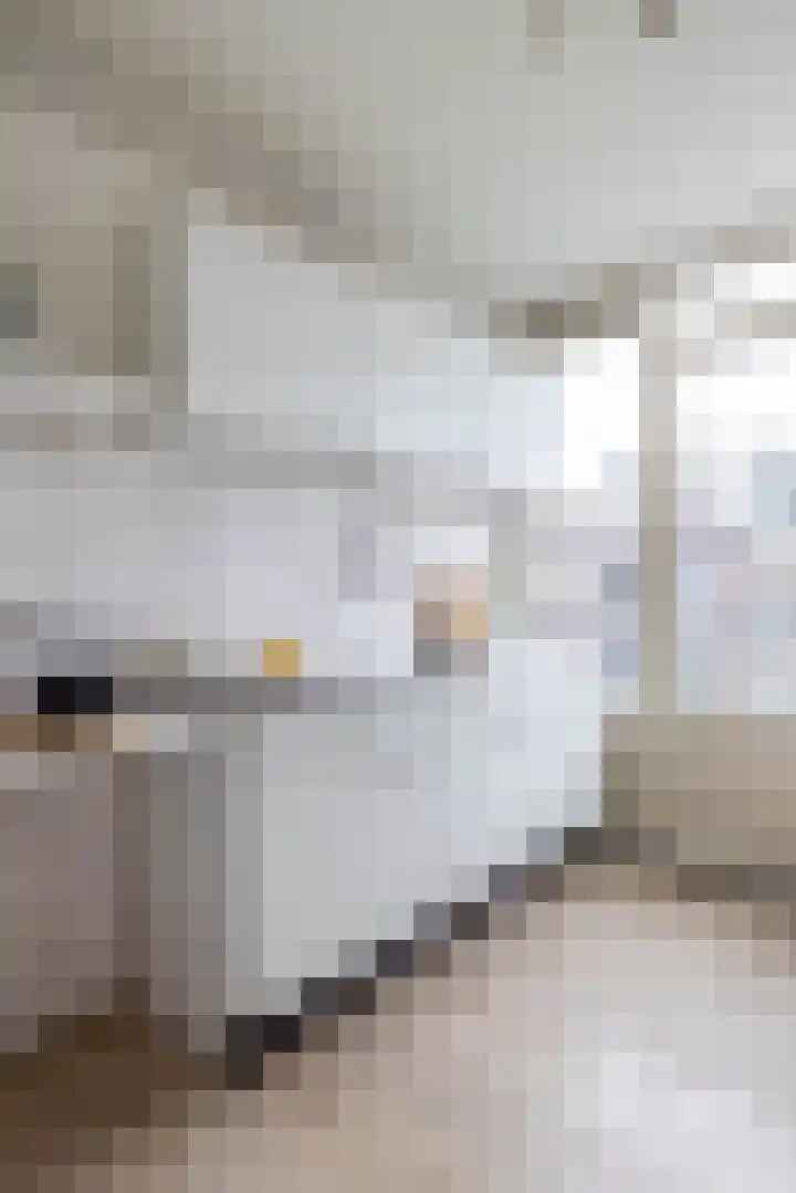 Meent 22 C Rotterdam thumbnail 10