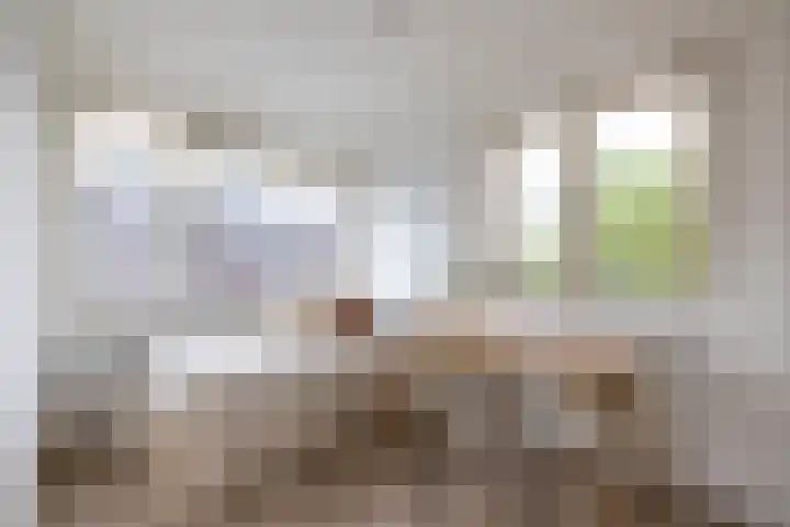 Meent 22 C Rotterdam thumbnail 13
