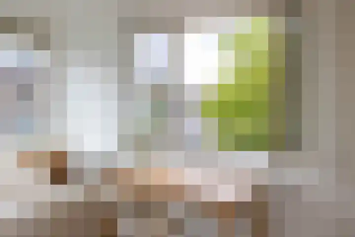 Meent 22 C Rotterdam thumbnail 14