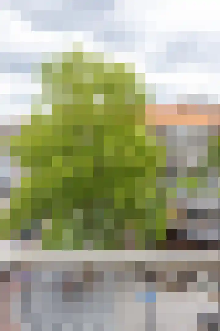 Meent 22 C Rotterdam thumbnail 15