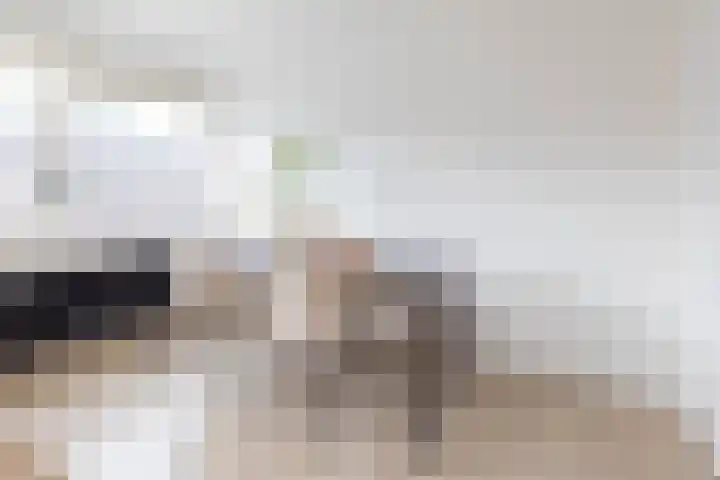 Meent 22 C Rotterdam thumbnail 5