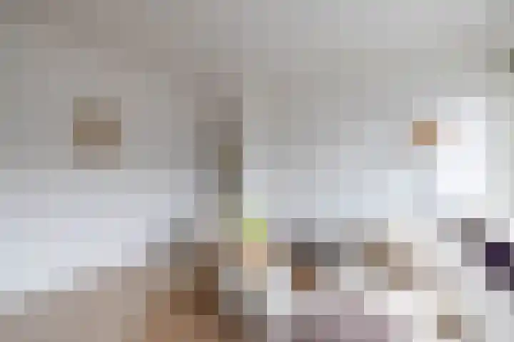 Meent 22 C Rotterdam thumbnail 6