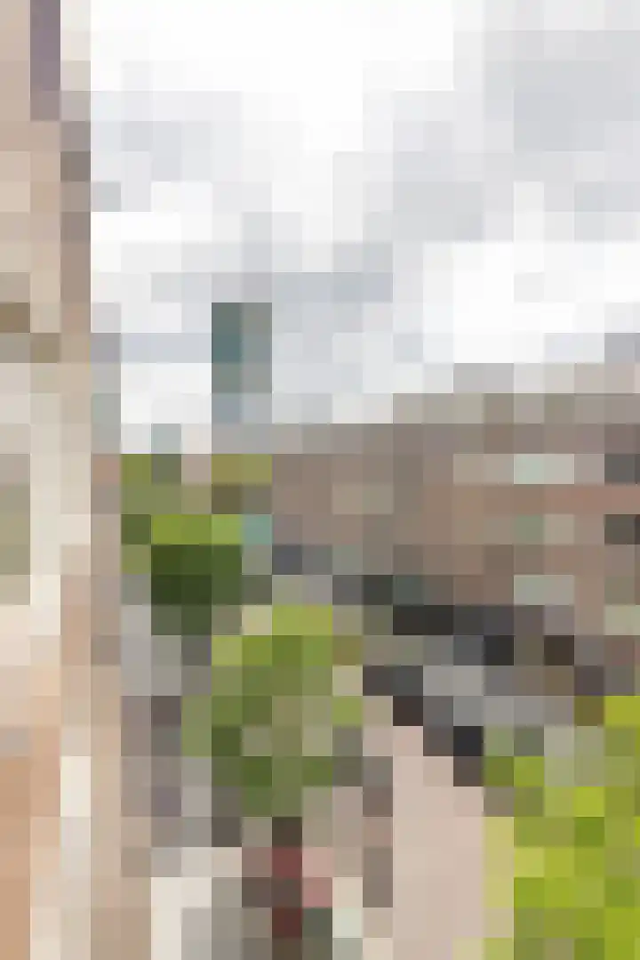 Meent 22 C Rotterdam thumbnail 7