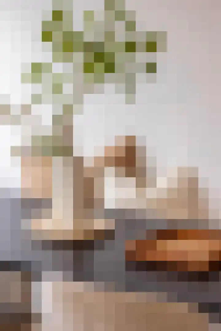 Meent 22 C Rotterdam thumbnail 8