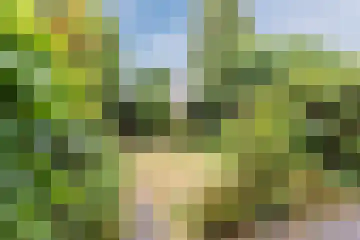 Meent 235 Breda thumbnail 22