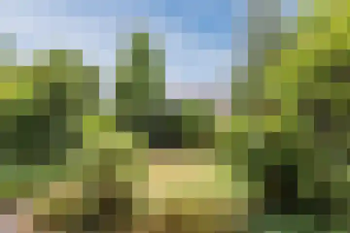 Meent 235 Breda thumbnail 23