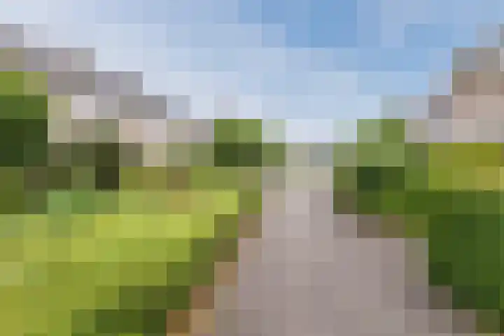 Meent 235 Breda thumbnail 25