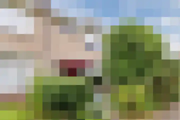 Meent 235 Breda thumbnail 33