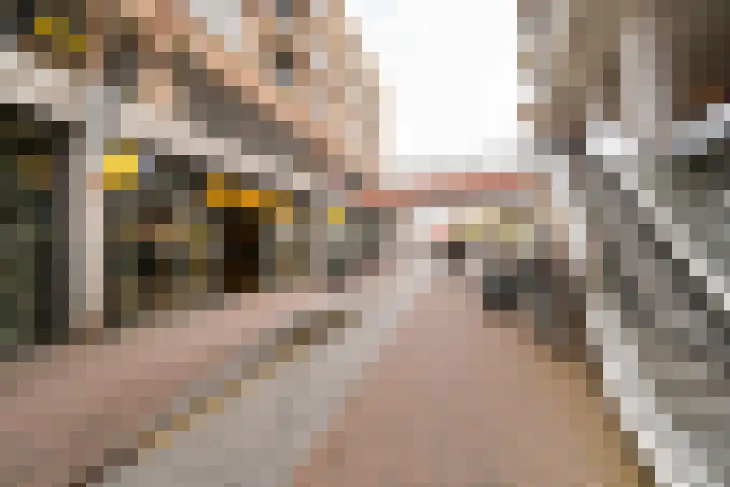 Meent 24 Papendrecht thumbnail 20