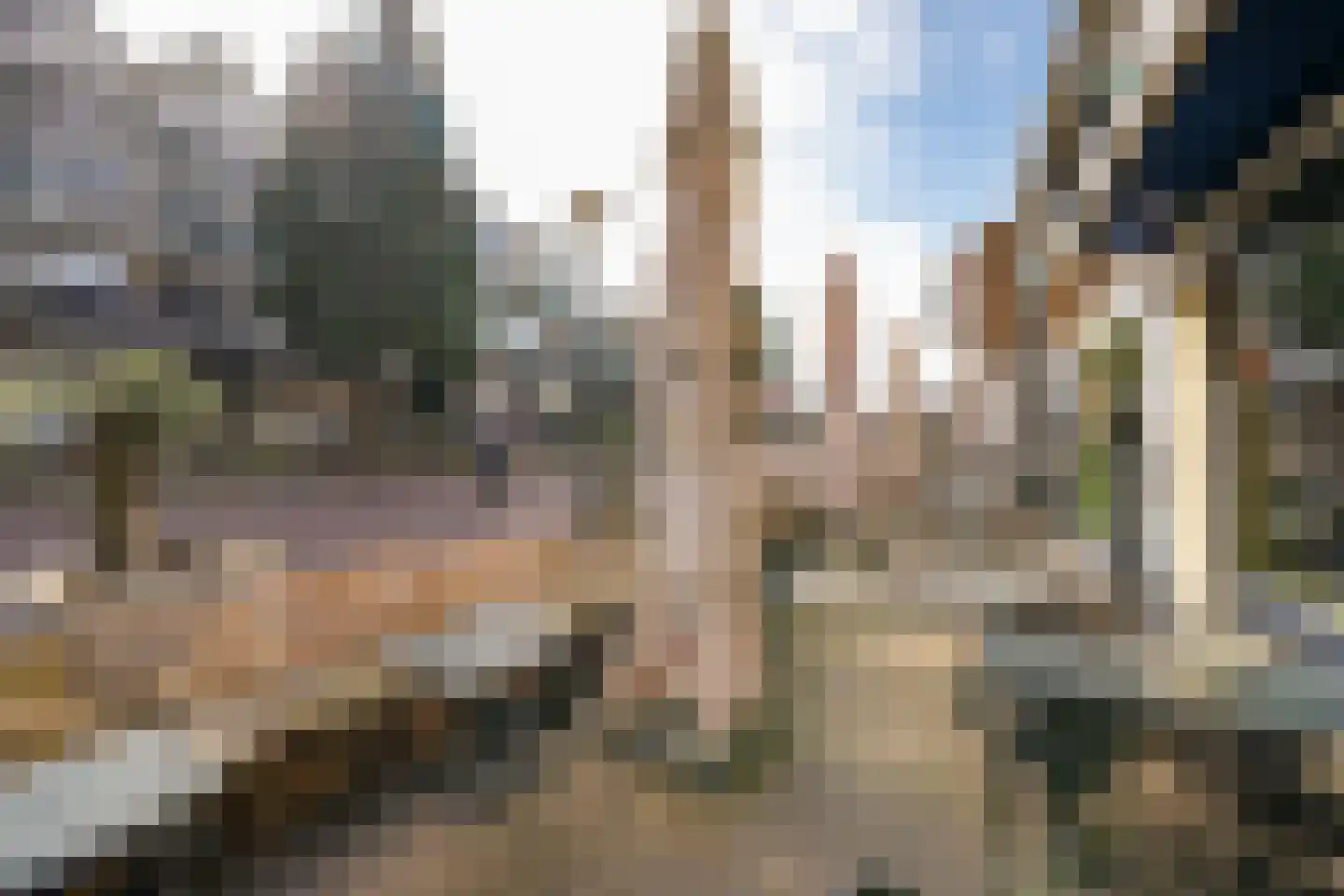 Meent 24 Papendrecht thumbnail 24