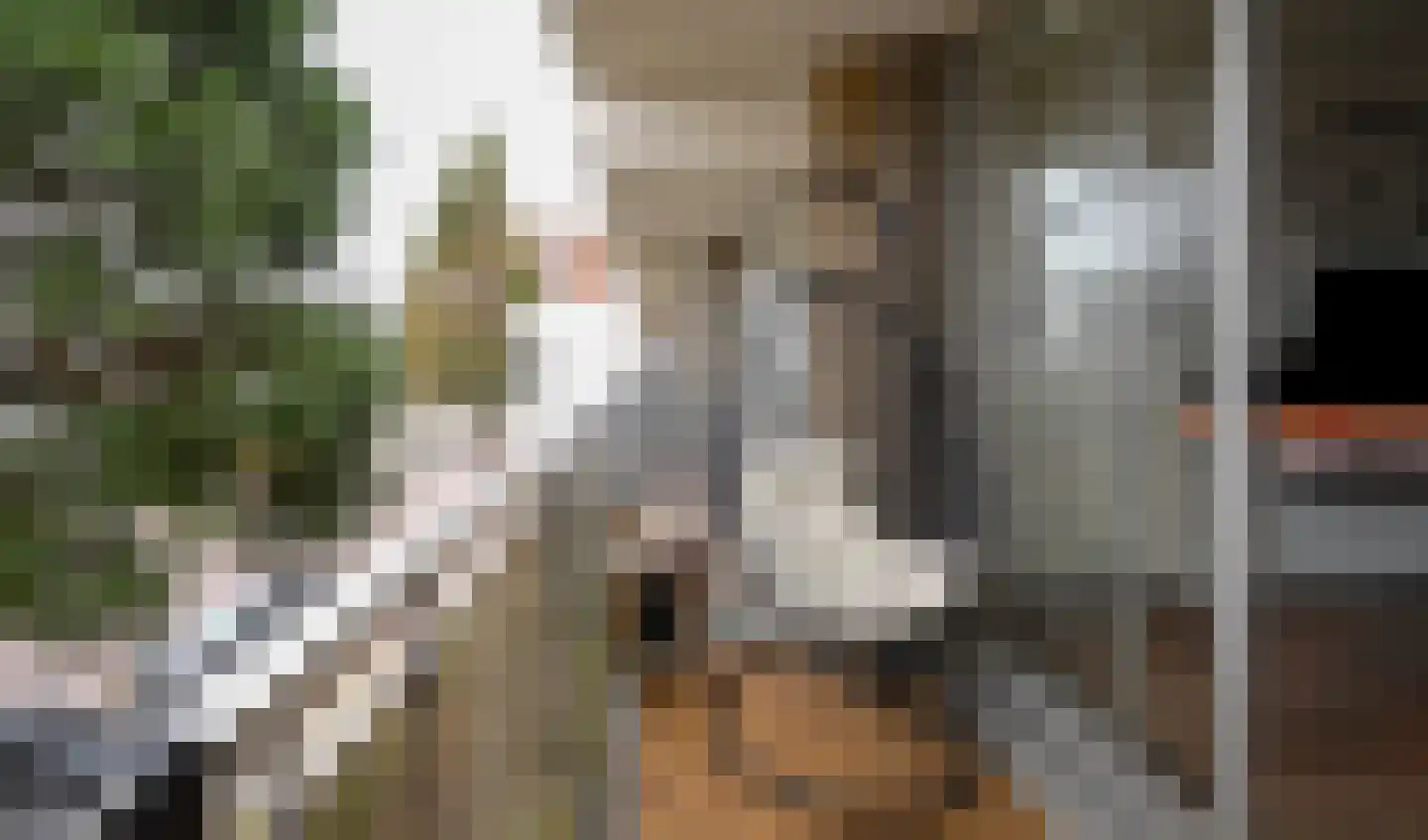 Meent 24 Papendrecht thumbnail 25